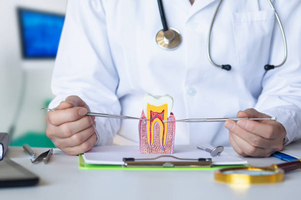 Best Emergency Dentist for Knocked-Out Tooth in Atlanta, TX